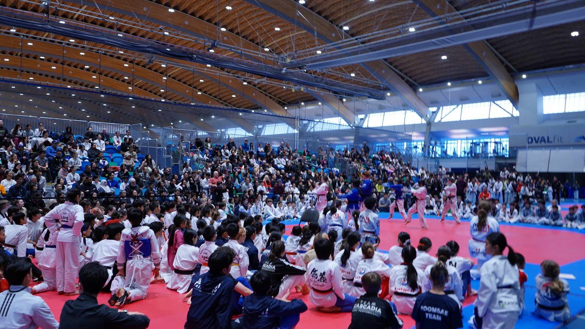 Hosting the 9th Consul General Cup Taekwondo Championship 